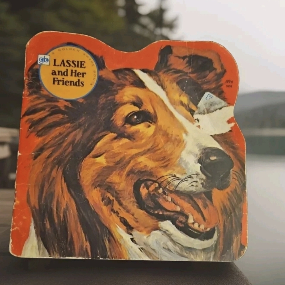 'Lassie And Her Friends' By Cecily Ruth Hogan 1978 Children's Book VTG